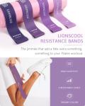 LIONSCOOL Purple Pilates Ring Set
