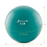 ProsourceFit Color Coded Weighted Exercise Balls
