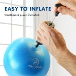 ProBody 9-Inch Pilates Exercise Ball with Pump