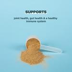 Chocolate Bone Broth Protein Powder, 20g Protein