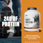 Chocolate Peanut Butter Grass Fed Whey Protein 5LB