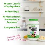 Chocolate Peanut Butter Vegan Protein Powder, 2.03 lb