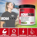 Evlution BCAAs Powder for Post Workout Recovery
