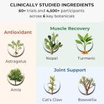 Plant-Based Muscle Recovery Supplement with Turmeric