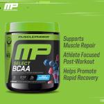 MusclePharm BCAA Powder for Muscle Recovery - Blue Raspberry
