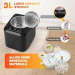 Portable Red Light Sauna Box with Timer and Steamer