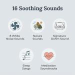 Whish White Noise Sound Machine for Sleep and Focus