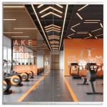 ROOMTEC 48"x24" Full Length Gym Mirrors - 2 Pack