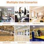 ROOMTEC 48"x24" Full Length Gym Mirrors - 2 Pack