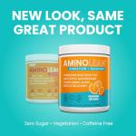 RSP AminoLean Recovery Drink - BCAAs & Electrolytes