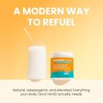 RSP AminoLean Recovery Drink - BCAAs & Electrolytes