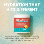 RSP AminoLean Recovery Drink - BCAAs & Electrolytes