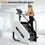 EFFICRAFT LED Stair Stepper Machine for Cardio