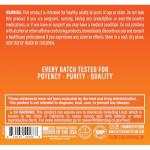 RAW Essential Pre-Workout Powder - Orange Flavor