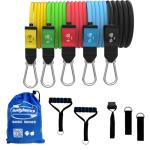 Bodylastics Resistance Band Set with Accessories