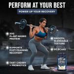 Vega Premium Vegan Vanilla Protein Powder, 29.2 oz