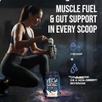 Vega Premium Vegan Vanilla Protein Powder, 29.2 oz