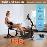 Adjustable Recumbent Exercise Bike for Home Use