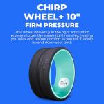 Medium Foam Roller for Back Pain Relief