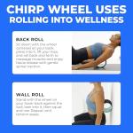 Medium Foam Roller for Back Pain Relief