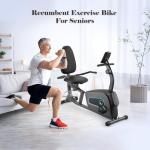 Recumbent Exercise Bike with Heart Rate Monitor