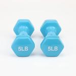 Light Blue 5-Pound Vinyl Coated Dumbbells Pair