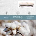 DIBAOLONG Women's No Show Ankle Running Socks