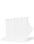Women's Mini Crew Socks 6-Pack - White
