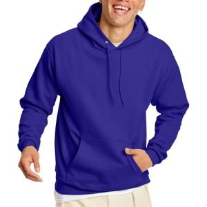 Hanes Men's Ecosmart Pullover Hoodie, Purple, XX-Large