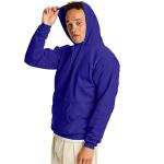 Hanes Men's Ecosmart Pullover Hoodie, Purple, XX-Large