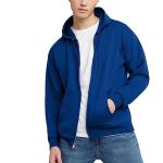 Hanes Men's Full-Zip Fleece Hoodie - Deep Royal