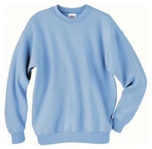Hanes Men's Ecosmart Fleece Sweatshirt - Small Blue