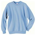 Hanes Men's Ecosmart Fleece Sweatshirt - Small Blue
