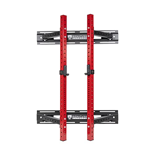 Compact Wall-Mounted Power Cage with Pull-Up Bar