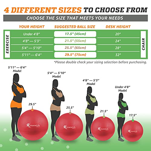 SmarterLife 45 cm Non-Slip Fitness Exercise Ball