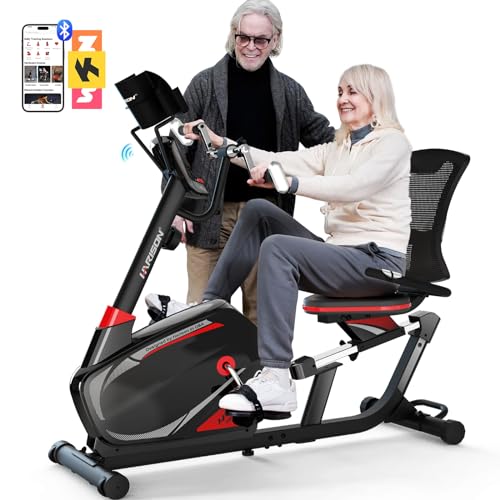 HARISON XXL Recumbent Exercise Bike with Arm Exerciser