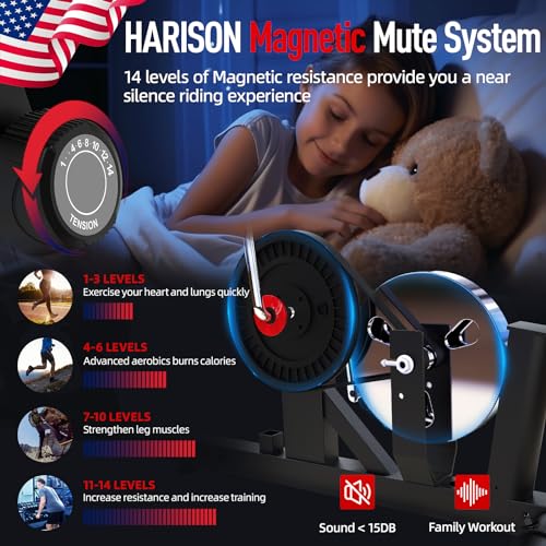 HARISON XXL Recumbent Exercise Bike with Arm Exerciser