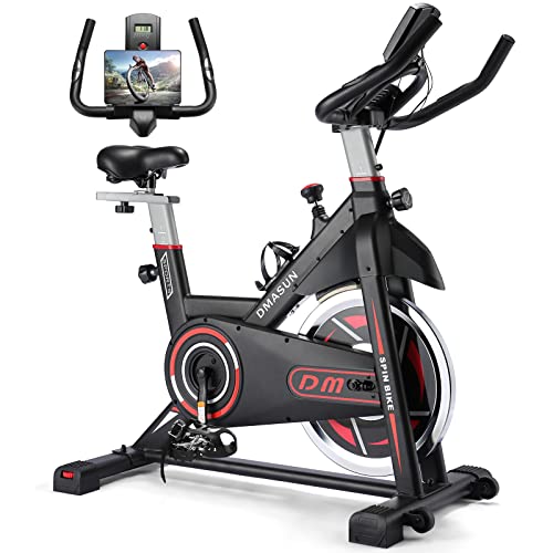 DMASUN Indoor Cycling Bike with Digital Display