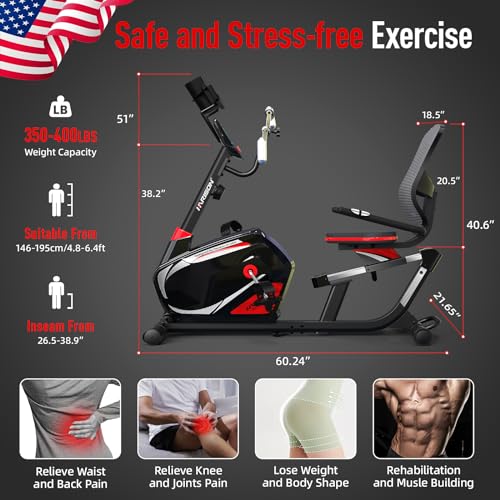 HARISON XXL Recumbent Exercise Bike with Arm Exerciser