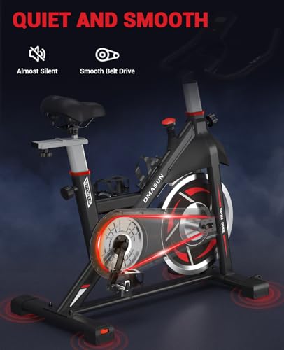 DMASUN Indoor Cycling Bike with Digital Display