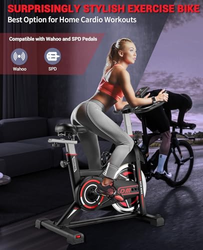 DMASUN Indoor Cycling Bike with Digital Display