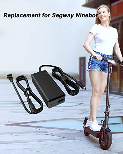 POANES 42V Charger for Segway Ninebot Scooters