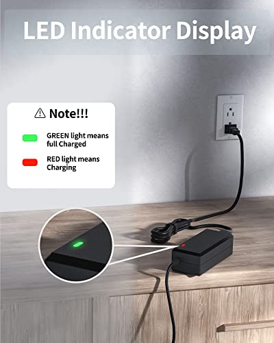 Jetson 42V Electric Scooter and Bike Charger