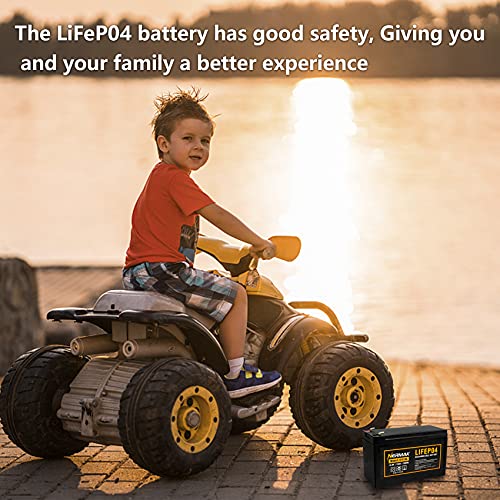 NERMAK 12V 10Ah Lithium Iron Deep Cycle Batteries
