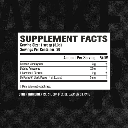 Growth Surge Creatine Powder with L-Carnitine