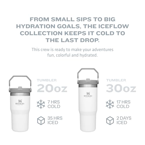 Stanley IceFlow Stainless Steel Tumbler - Ash, 30OZ