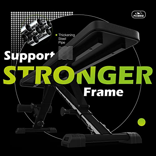 FLYBIRD Adjustable Weight Bench for Full Body Workout