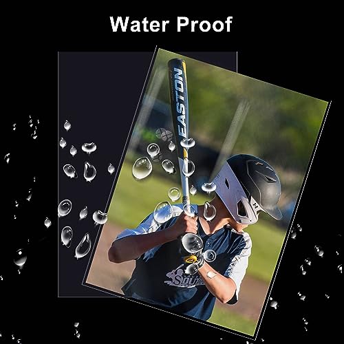 1000 Clear Soft Trading Card Sleeves - Protectors