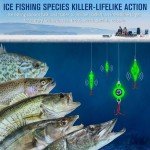 Dovesun Glow Ice Fishing Jigs and Lures Kit