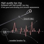 Sougayilang Lightweight Graphite Trout Fishing Rod 6'0